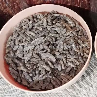 Pet toy Cat Actinidia polygama / SilverVine Galls Fruit / Matatabi Stick powder